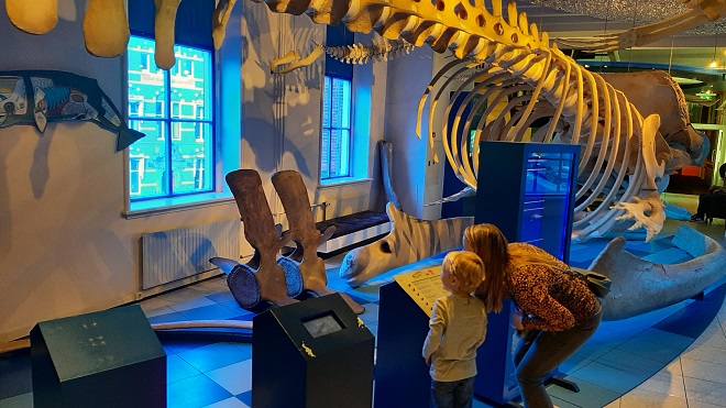 walviszaalnatuurmuseum