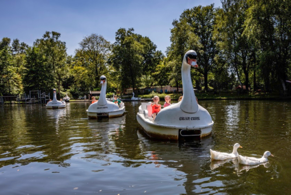 Waterfietsen in de vorm van een zwaan op een vijver